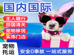 邯郸机场货运国际宠物托运 【国